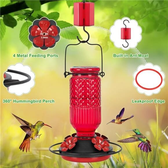 Glass Hummingbird Feeder for Outdoors Hanging, 16 OZ Humming Birds Feeders - Picture 4 of 7
